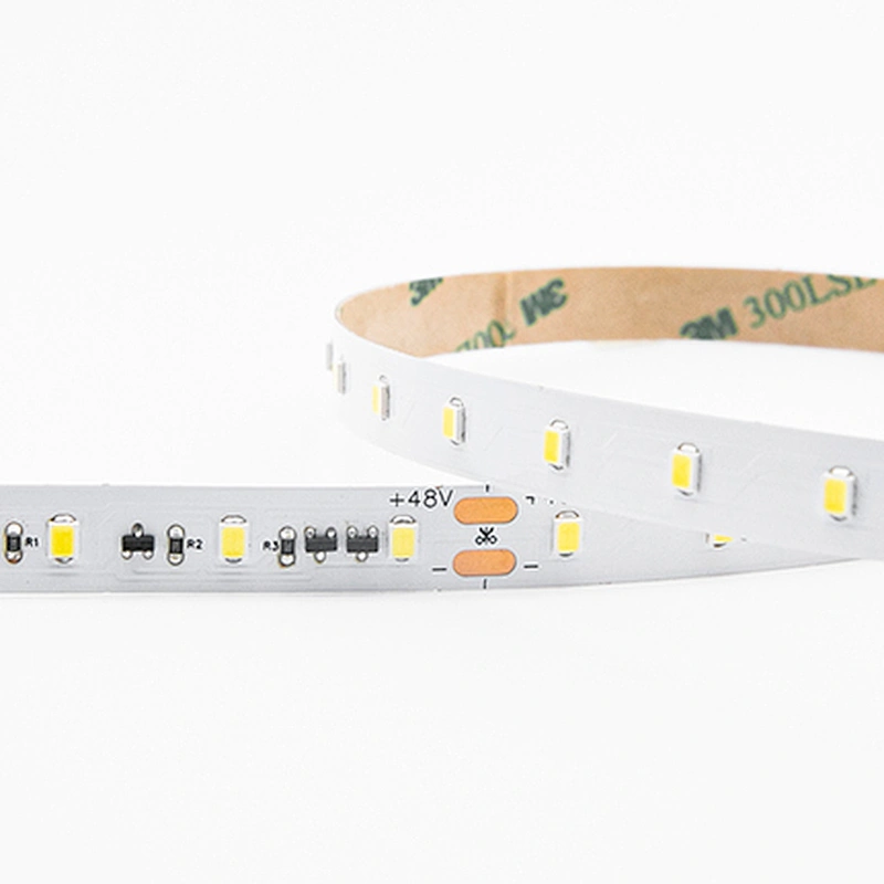 65LEDs 48v 2835 30m LED Strip Lights Long Run 100ft LED Strip 30 Meter