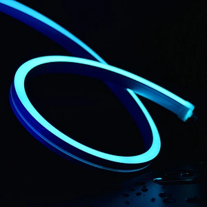 1220 Neon 5050 DMX512 RGB LED Strip Lights