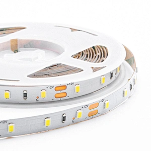 ODM/ OEM Wholesale SMD 2835 LED Light Strips
