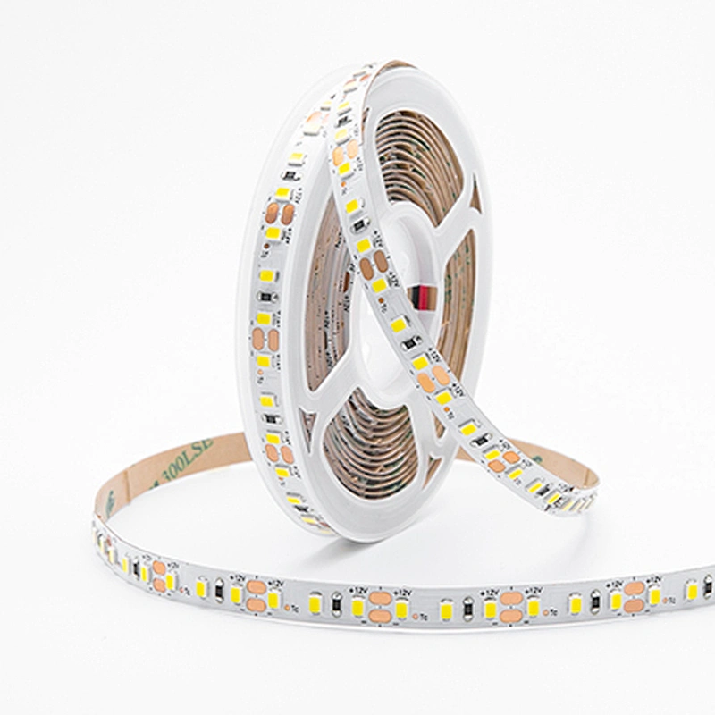 5m 12W/M 12V China 2835 LED Strip Specification
