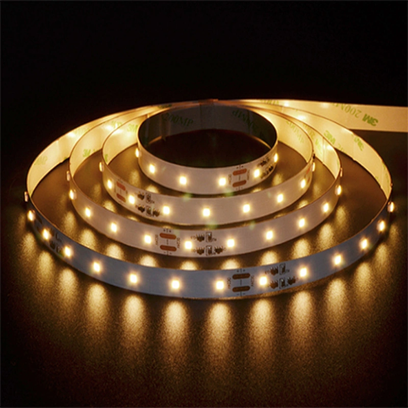 120LEDs 2835 Manufacturer Long Run 10m LED Strip 20m