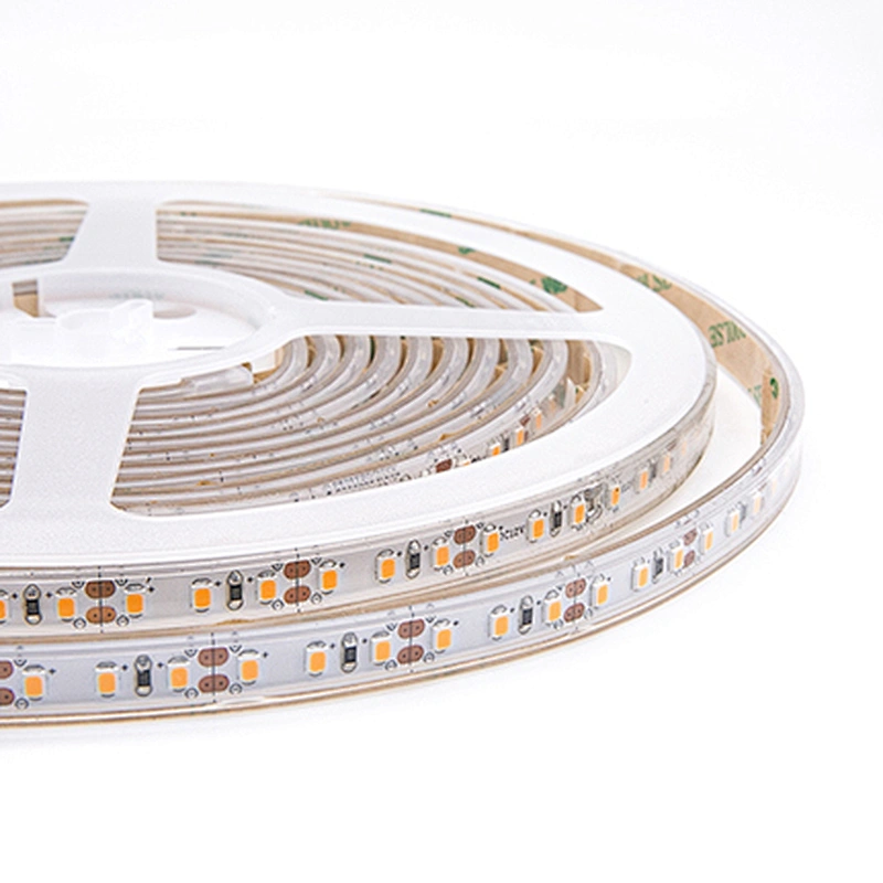 IP65 12v 120LEDs 2835 Waterproof LED Strip Lights
