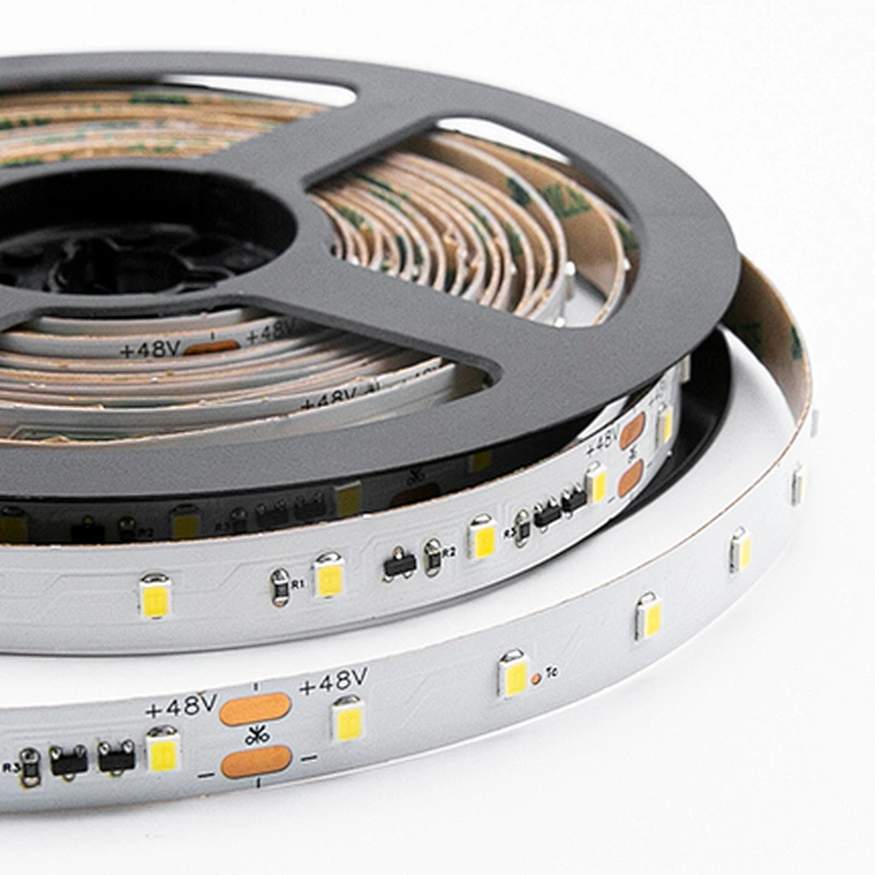 65LEDs 48v 2835 30m LED Strip Lights Long Run 100ft LED Strip 30 Meter