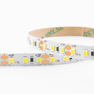 5m 12W/M 12V China 2835 LED Strip Specification