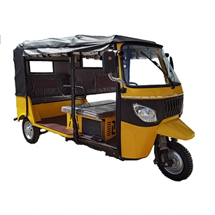 2023  passenger e richshaws for sale borac with heavy loading good quality Tricycle