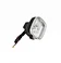 Directional indicators