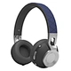 classic type earphone