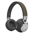 classic type earphone