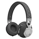 classic type earphone