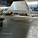 star shade tent, display tent, exhibition