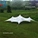 10m x 10m Flexible Stretch Tent Cheese Tent for Outdoor Wedding Party Events