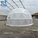 dome tent, round tent, clear, white roof tent, party tent