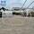 dome tent, round tent, clear, white roof tent, party tent