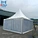 marquee tent, party tent, pagoda tent, pergola tent