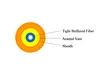 optical fiber solution provider