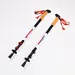 Outdoor Travel Cane