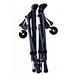 Collasiple Travel Cane