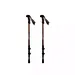 Nordic Walking Sticks