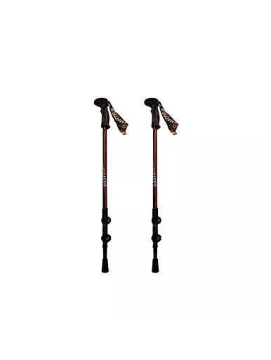 Nordic Walking Sticks