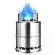 Wood Fire Burning Stove
