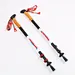 Outdoor Travel Cane Nordic Walking Trekking Pole