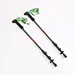 Nordic Trekking Poles