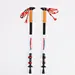Outdoor Travel Carbon Fiber Trekking Pole