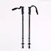Telescopic Trekking Pole