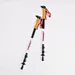 Outdoor Travel  Cane Carbon Fiber Trekking Pole