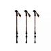 Alpenstock Trekking Pole
