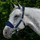 Equestrian Products Horsing Halters Durable Woven Polypropylene with Fleece