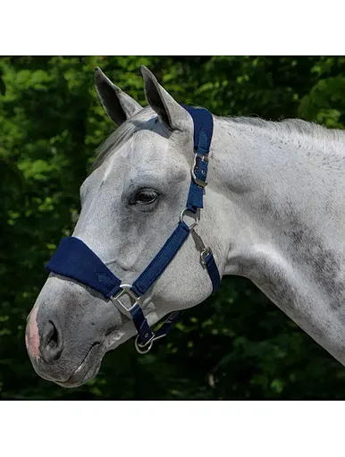 China manufacturer Equestrian Products Horsing Halters Durable Nylon Fleece
