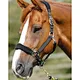 China manufacturer Equestrian Products Horsing Halters Durable Nylon Fleece