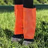 China manufacturer horse products equestrian leg splint leg protection fly boot mesh wrap