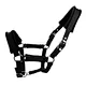 Equestrian Chin and Throat Snap Halter for Horse Riding