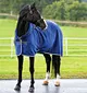 Horse Rugs