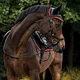 China manufacturer equestrian hats horse fly hats