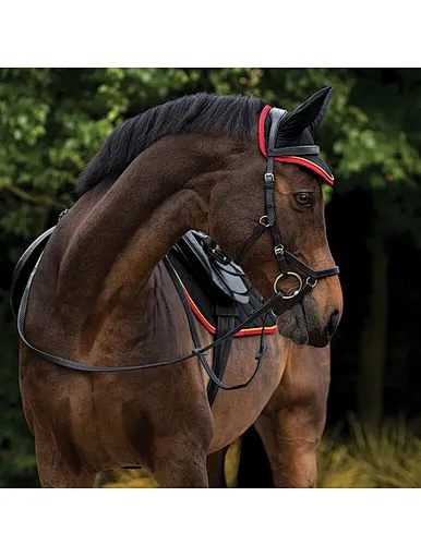 hats for horse
