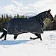 China Equestrian Horse Rugs Supplier