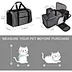 carrier pet