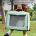 Pet Cat Handbag