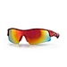 polarized photochromic sunglasses