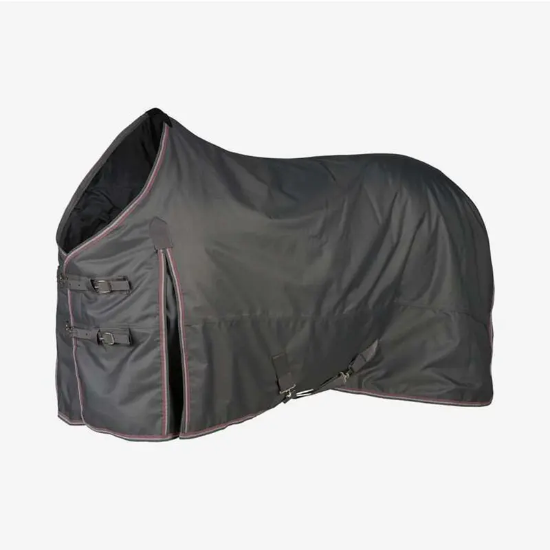 China Waterproof Horse Rug