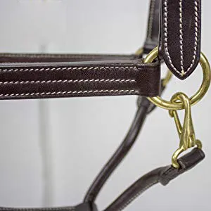 Detail of Horsing Riding Chin and Throat Snap Halter
