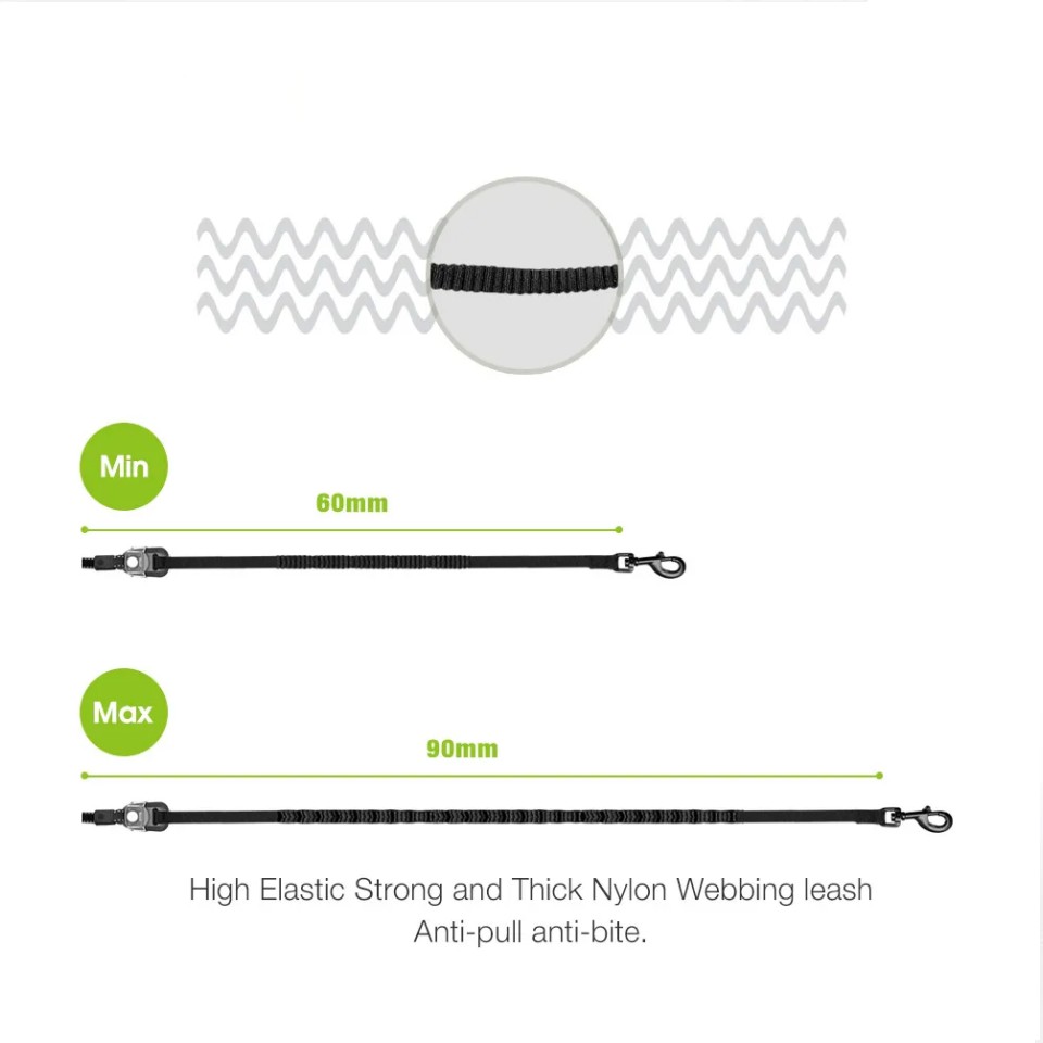 Reflective Nylon Dog Retractable Leash China