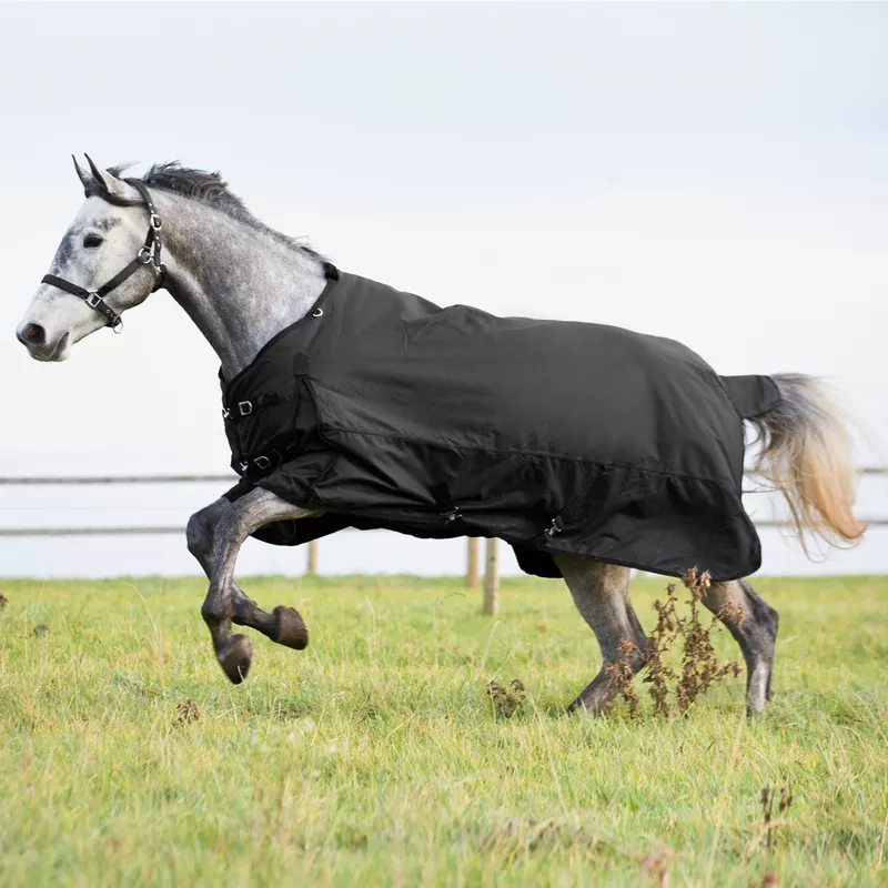 Equestrian Horse Rugs Waterproof Blanket for Horses Durable Ripstop fabric China