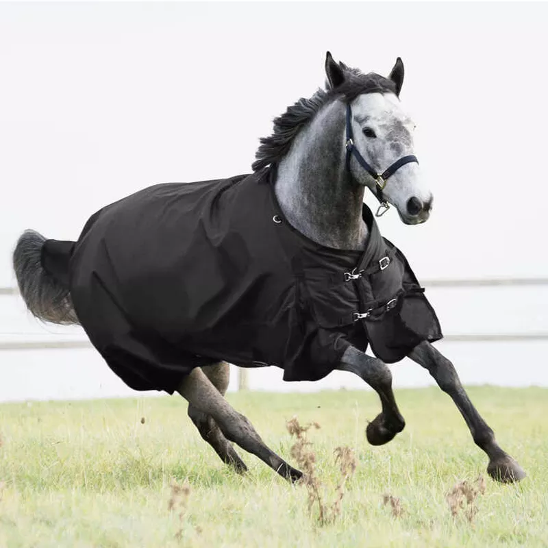 Equestrian Horse Rugs Waterproof Blanket for Horse Riding China