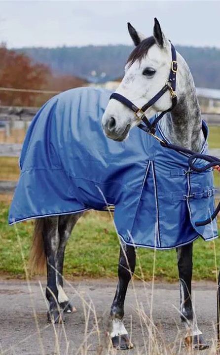 Equestrian Rug