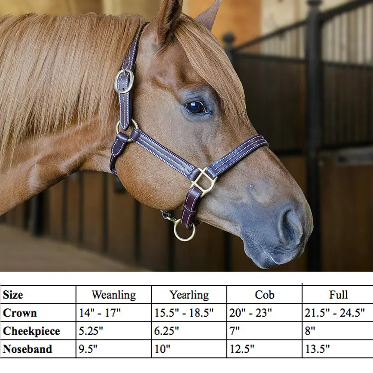 Equestrian Horsing Riding Chin and Throat Snap Halter China