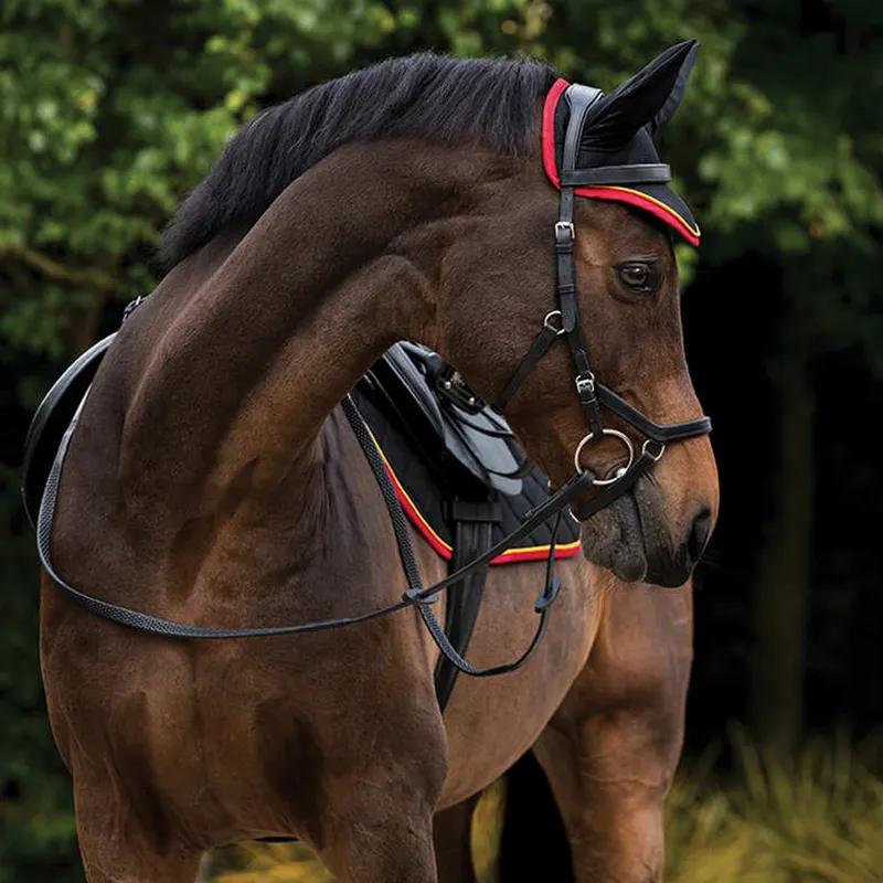 horse bonnet fly hats